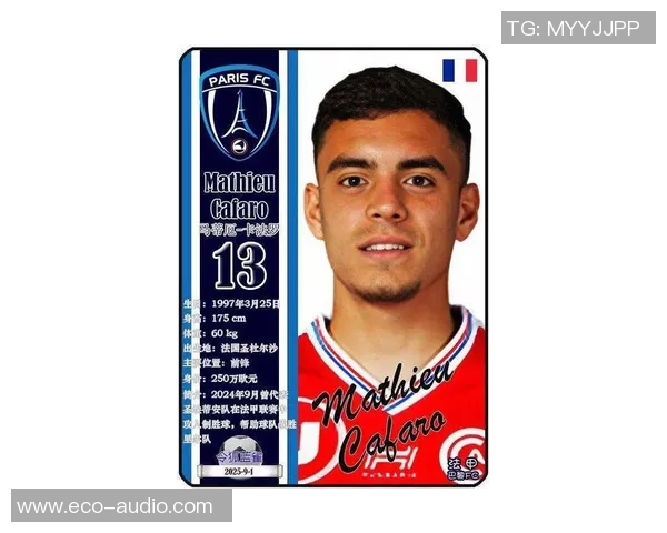 法国足球明星卡片的历史演变与市场价值分析 法国足球明星卡片的历史演变与市场价值分析