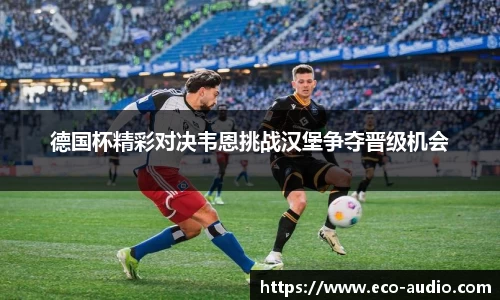 德国杯精彩对决韦恩挑战汉堡争夺晋级机会